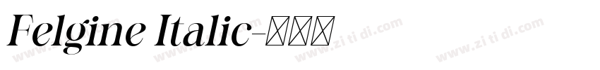 Felgine Italic字体转换